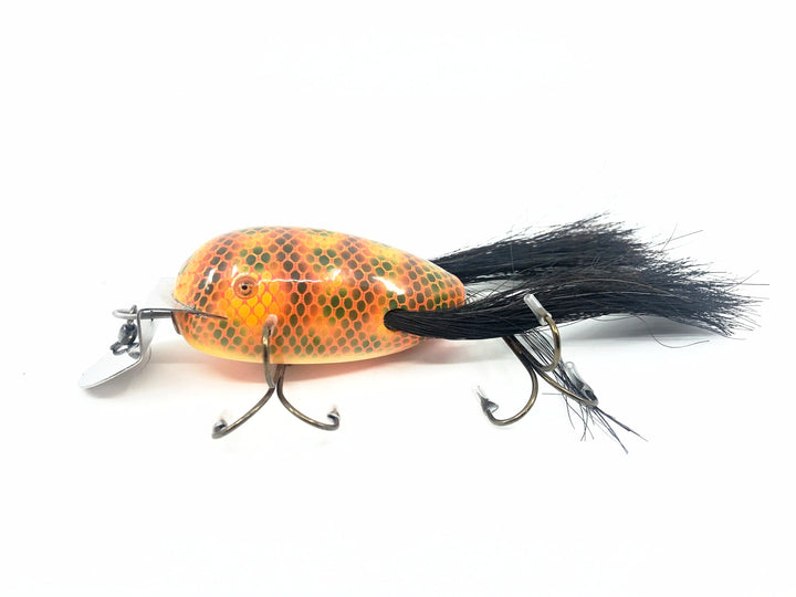 Musky Dan (XXX Lures) Giant Dingbat, Orange/Green & Black Scales w/COA