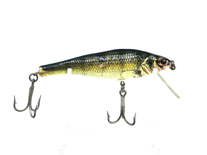 Bagley Small Fry Perch P9, Perch on Chartreuse Color