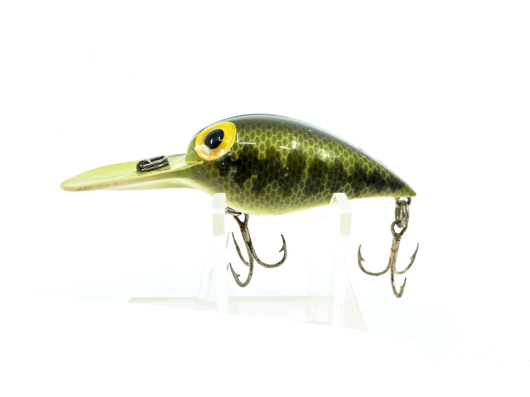 Storm Wiggle Wart, V42 Bass Color