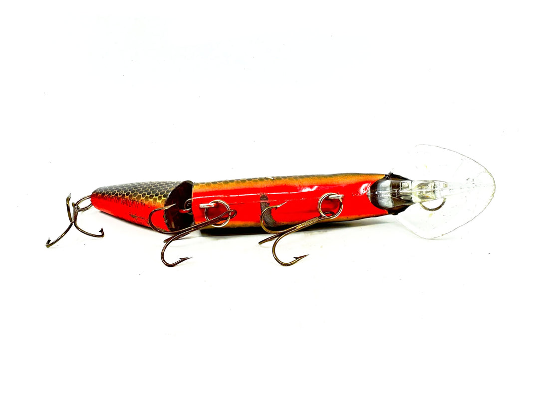 Joe Bucher Tackle Co. Buchertail Jointed Depth Raider 8", Orange/Gold/Black Scale Color