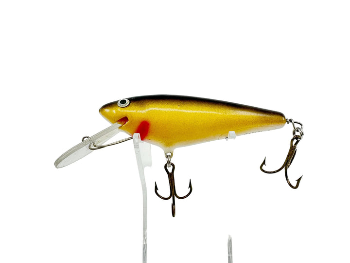 Hooker Tackle Co. G & M Shad, Gold/Black Color