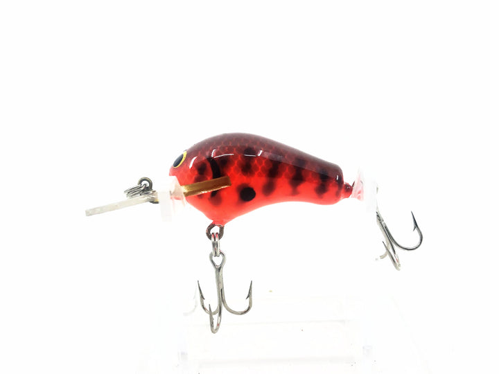Bagley Diving Honey B1 DHB1, DC2 Dark Crayfish on Orange Color