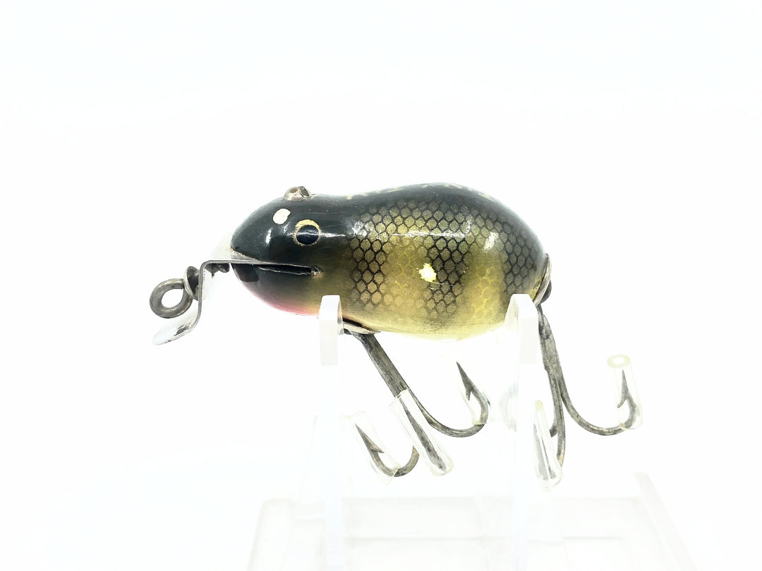 Creek Chub 6400 Tiny Tim, #01 Perch Scale Color