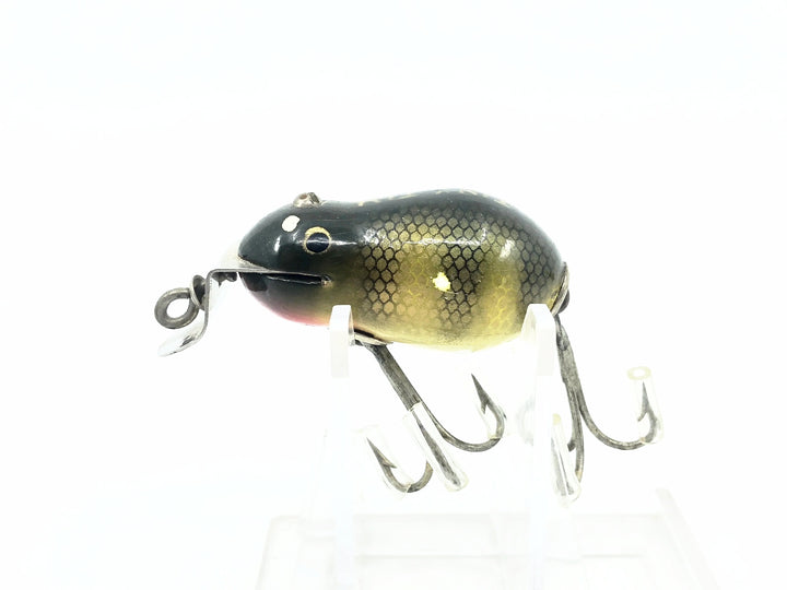 Creek Chub 6400 Tiny Tim, #01 Perch Scale Color