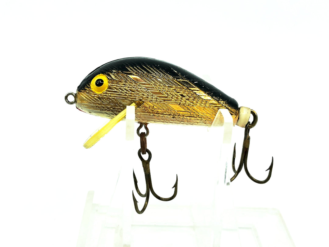 Rebel Humpback, Gold/Black Back