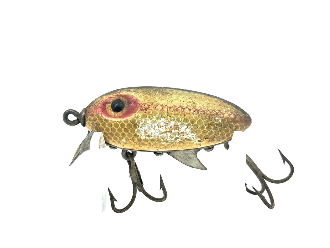 Clark's Water Scout, Shad Color