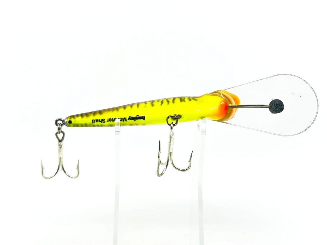 Bagley Monster Shad MSD-LM9 Little Musky on Chartreuse Color