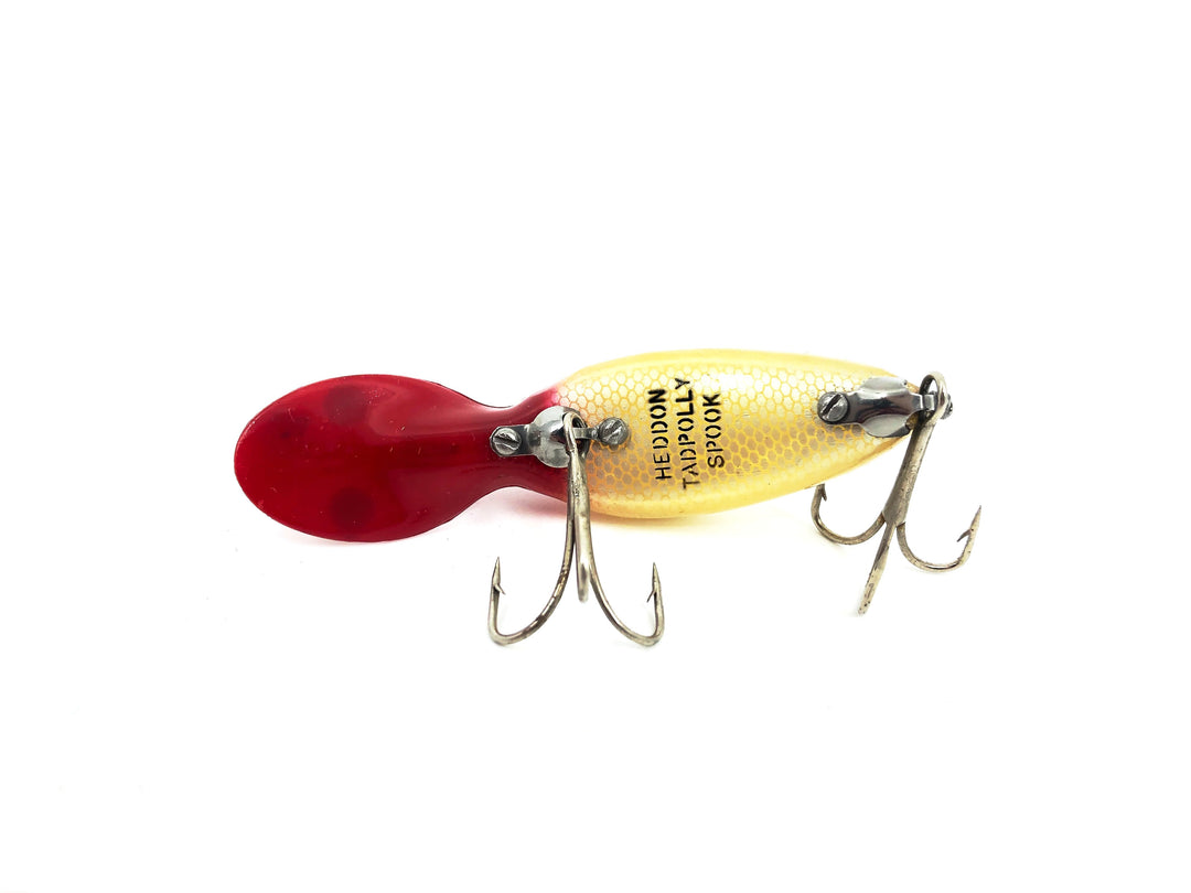 Heddon Tadpolly, WH White/Red Head Color