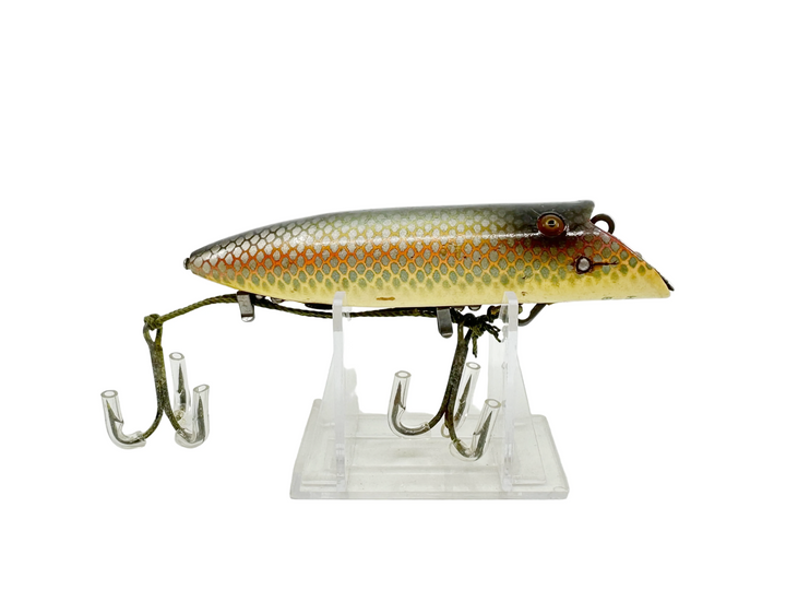 Heddon King Basser 8550, 9P Shiner Scale Color