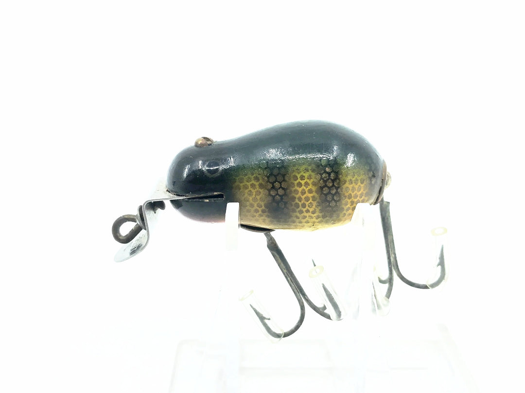 Creek Chub 6400 Tiny Tim #01 Perch Scale Color