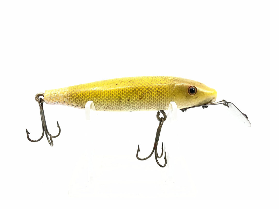 Bear Creek Sucker Minnow, Yellow Scale Color