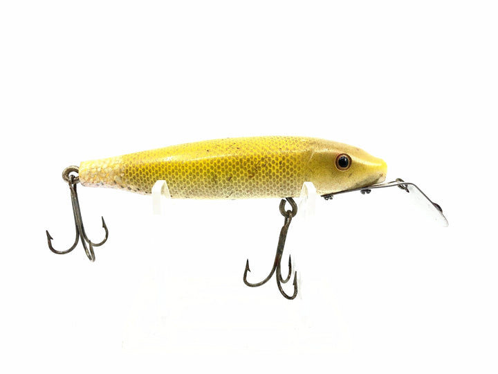 Bear Creek Sucker Minnow, Yellow Scale Color