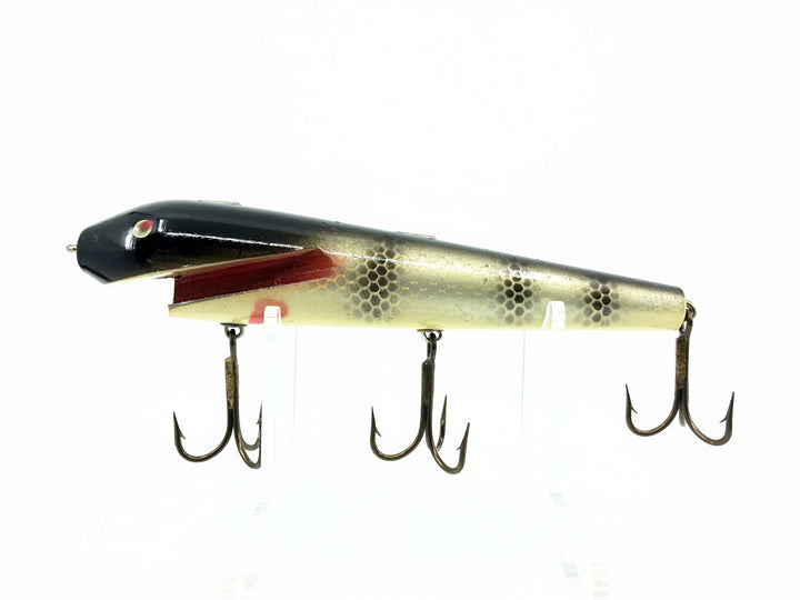 Fudally's Reef Hawg, Cisco Color