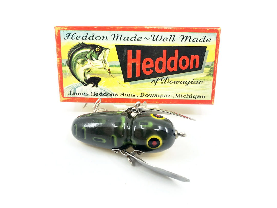Heddon Crazy Crawler 2100, BF Bullfrog Color with Box