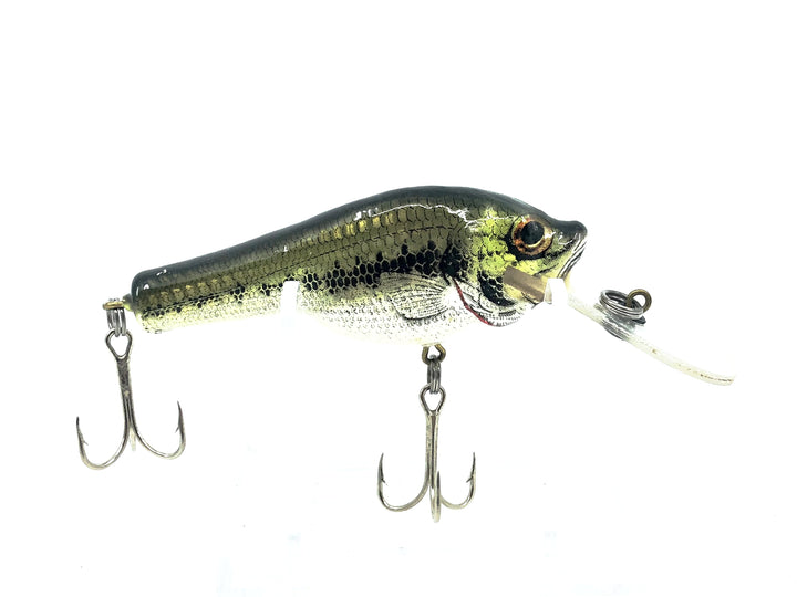 Bagley Small Fry Baby Bass 1DSF2, LB4 Little Bass on White Color