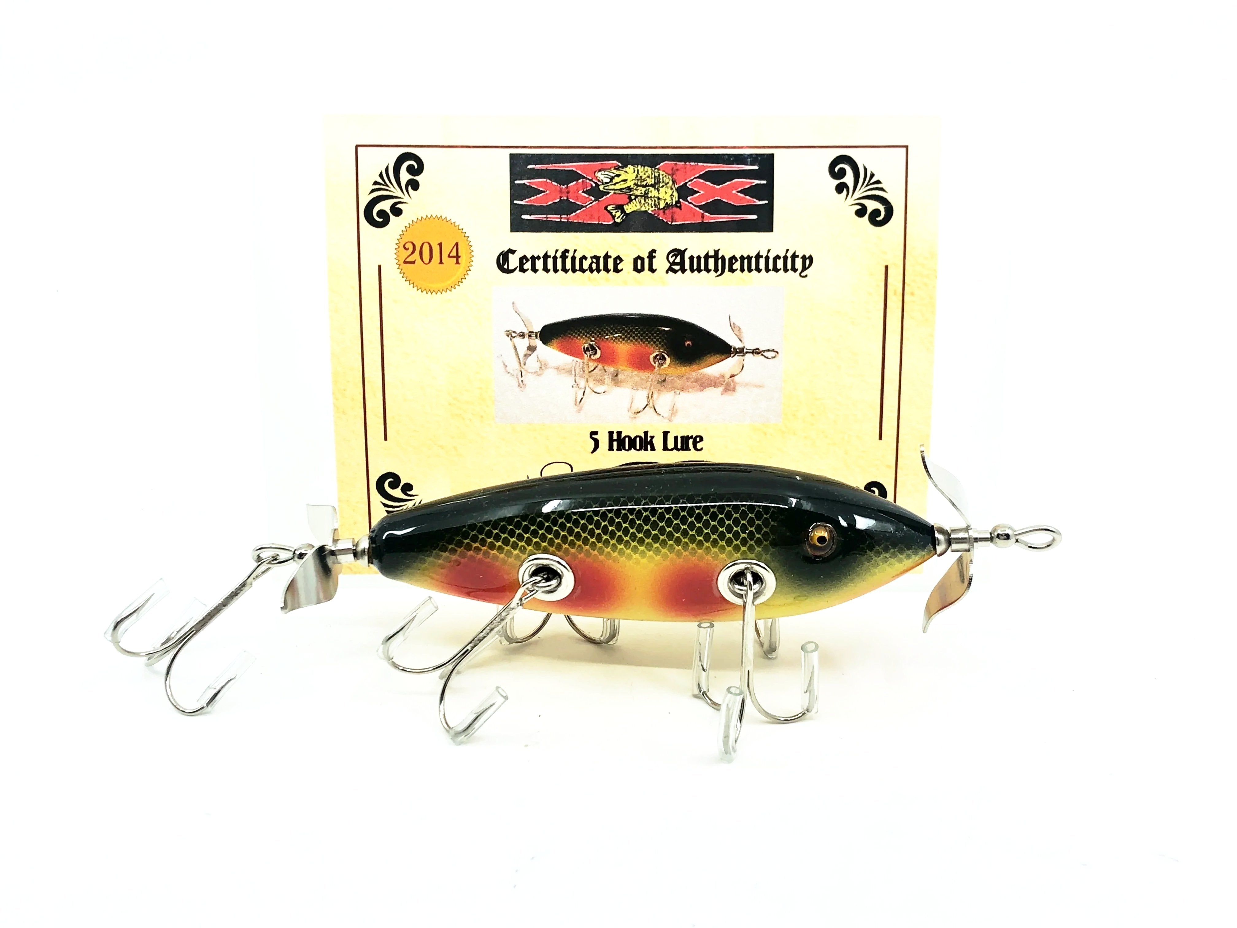 Newest Products