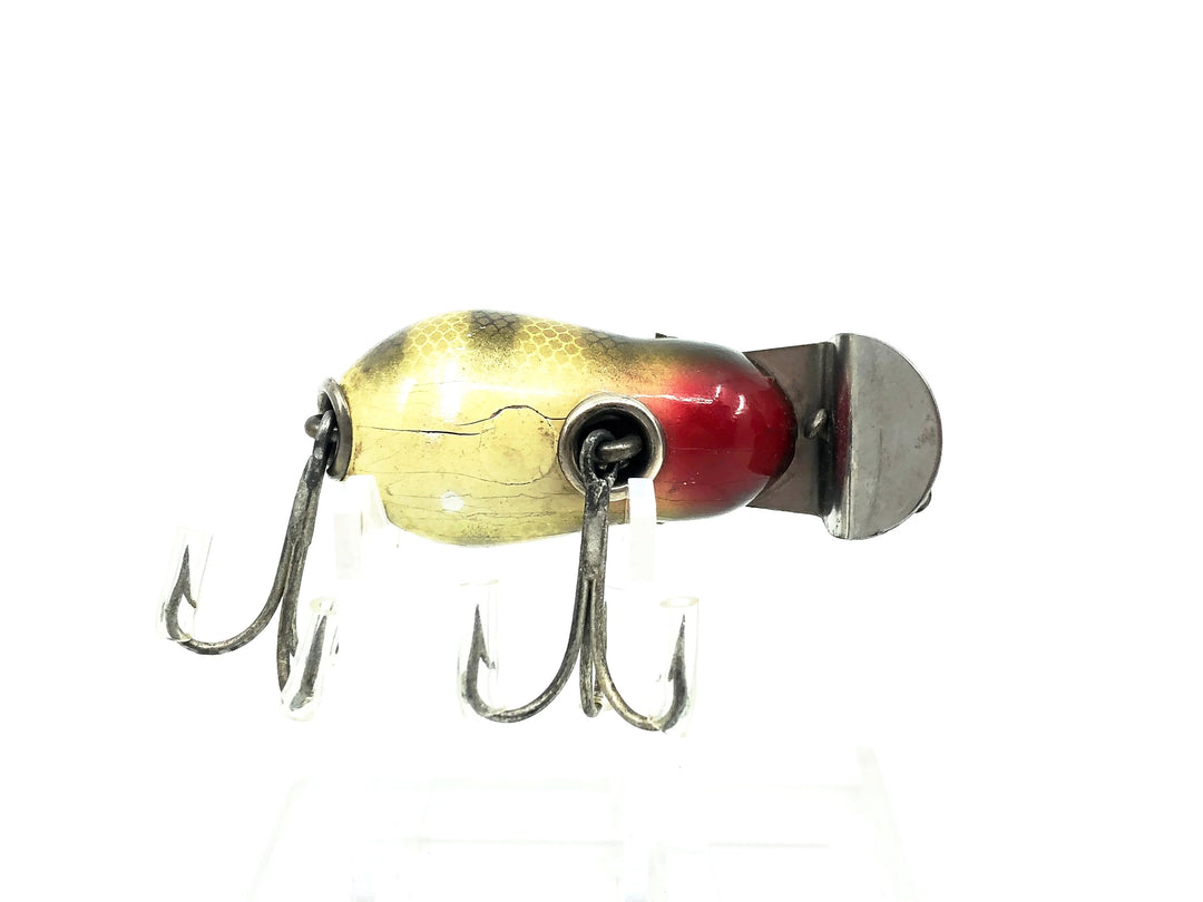Creek Chub 6400 Tiny Tim, #01 Perch Scale Color