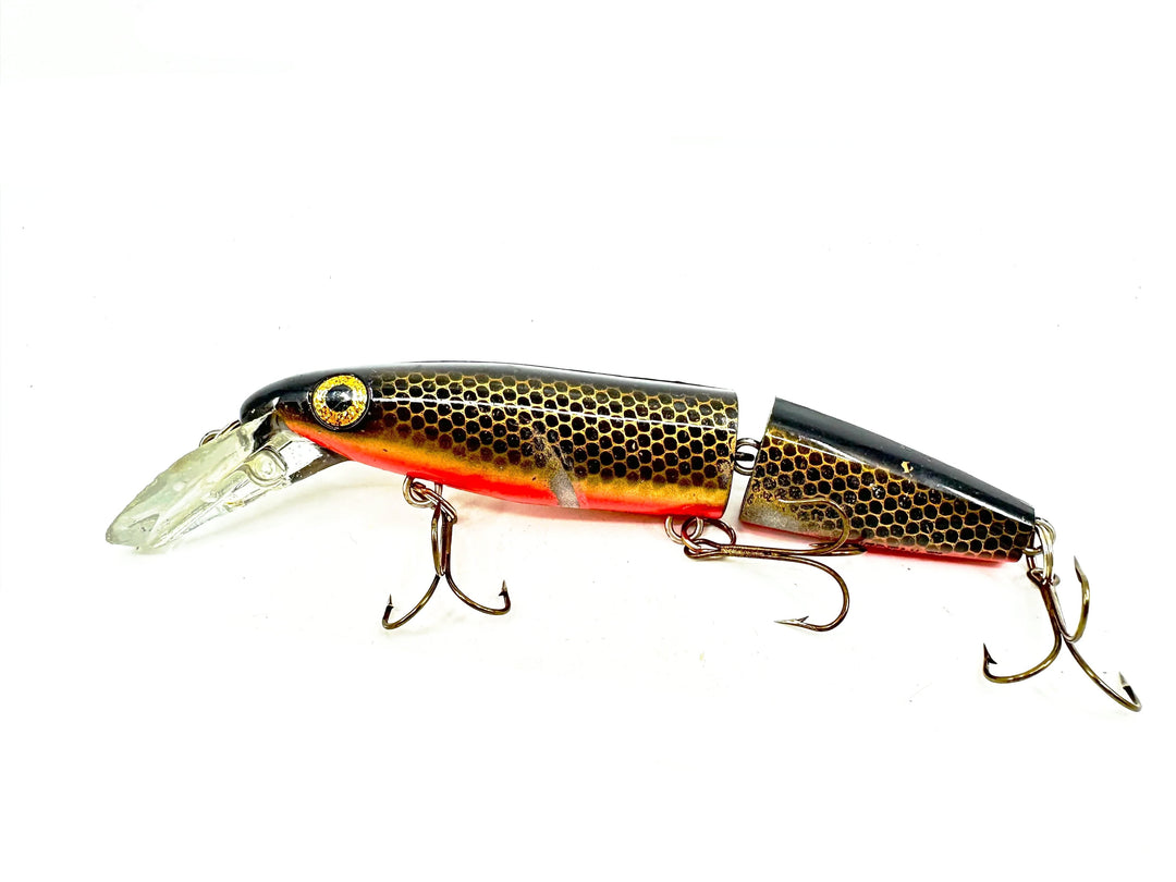 Joe Bucher Tackle Co. Buchertail Jointed Depth Raider 8", Orange/Gold/Black Scale Color