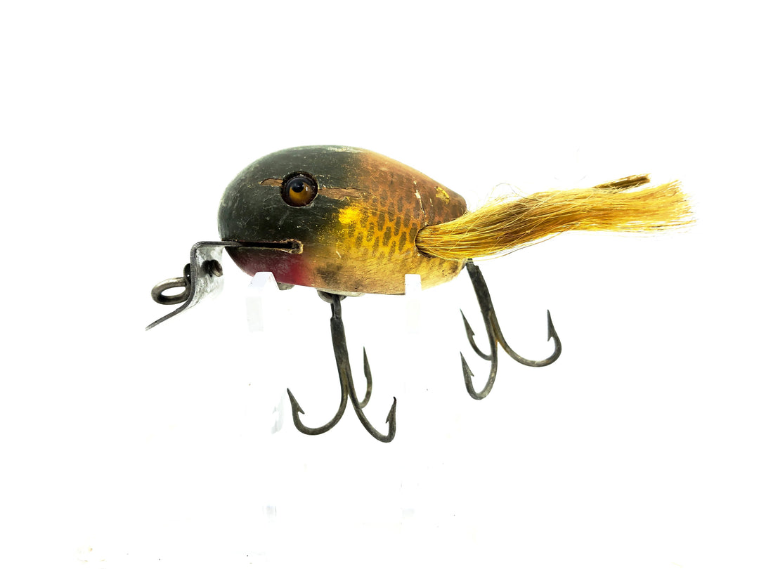 Creek Chub 5200 Baby Dingbat, Golden Shiner Color