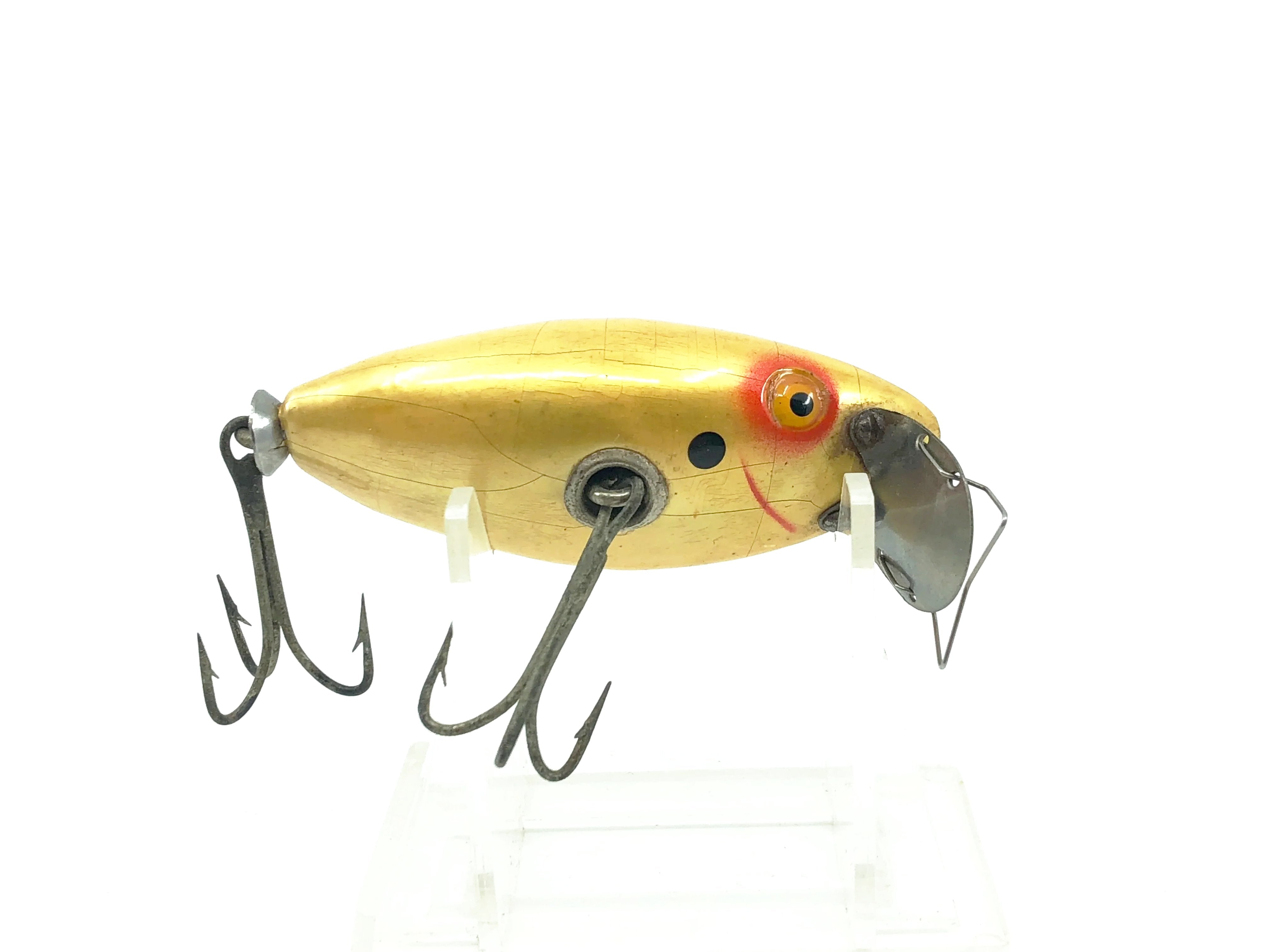 Newest Products