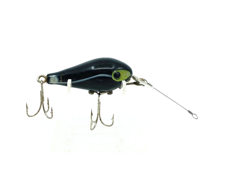 P&K Amazin Maizie, Black/Shadow Stripe Color