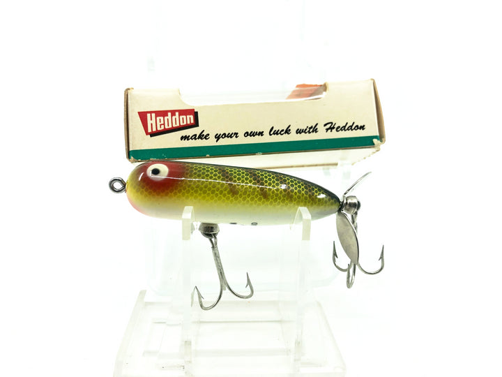Heddon Baby Torpedo 361, L Perch Color w/Box