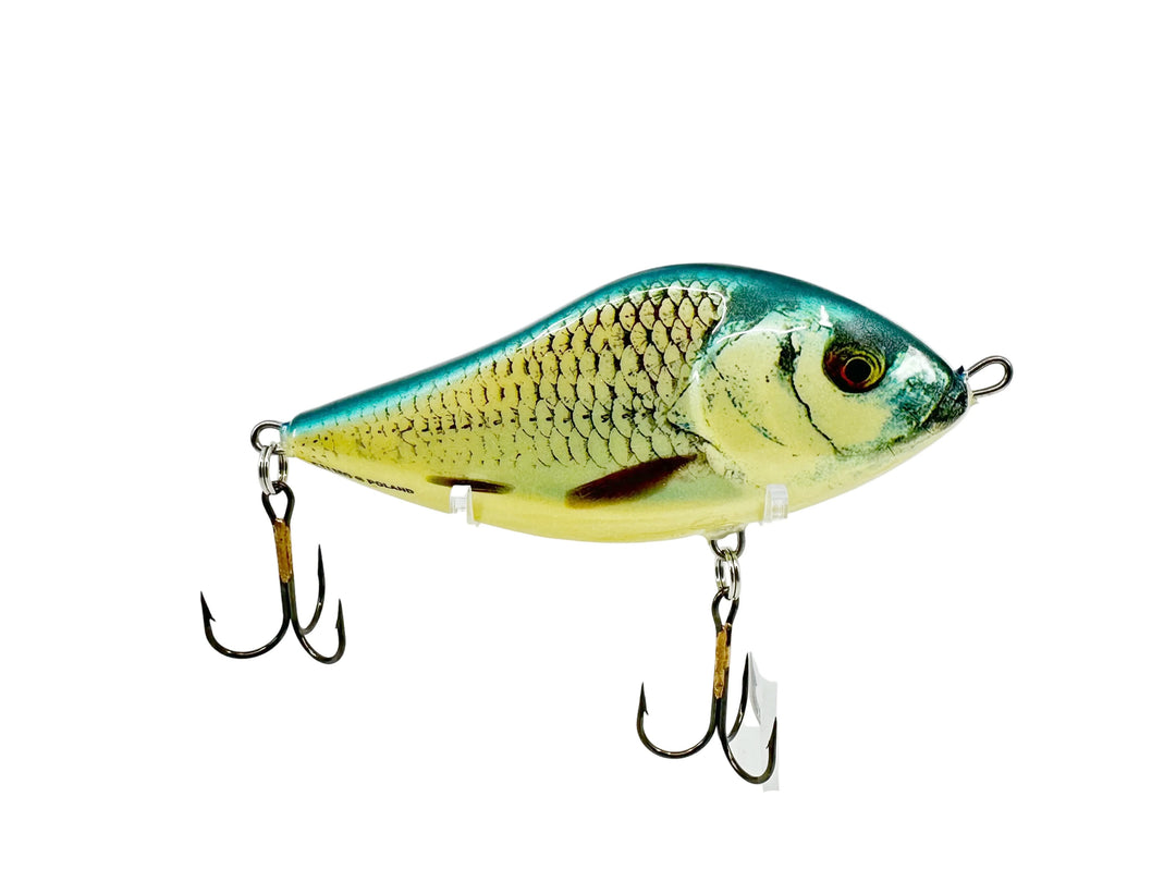 Salmo Sinking Slider 5", Blue Shad Color