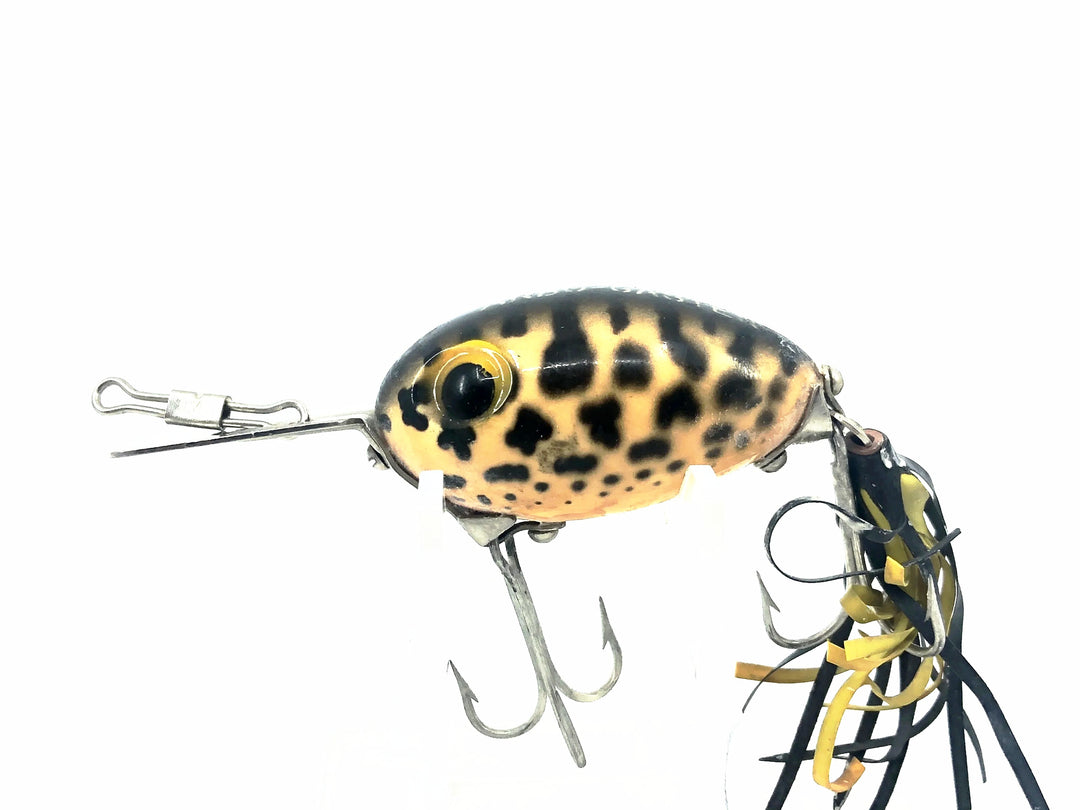 Arbogast Arbo-Gaster, Yellow Coachdog Color