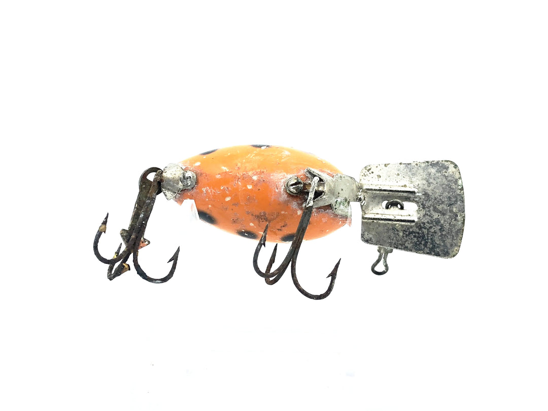 Arbogast Arbo-Gaster, Orange/Black Dots Color
