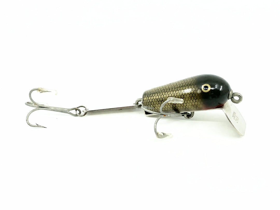 Creek Chub 500 Spoon Tail, #00 Pikie Scale Color