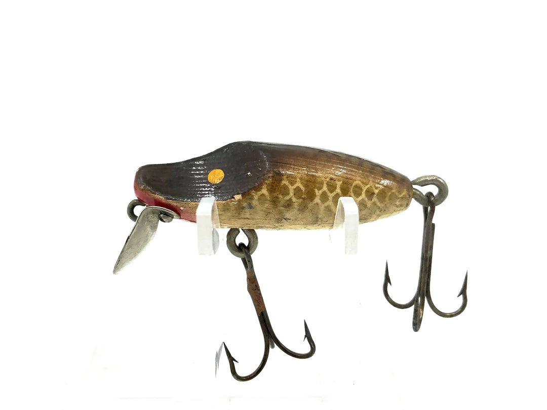 Paw Paw Lippy Joe Wooden, Pikie Color