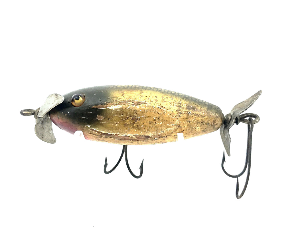 Creek Chub 1600 Baby Injured Minnow / Flatside Chub, Silver Flash Color 1618