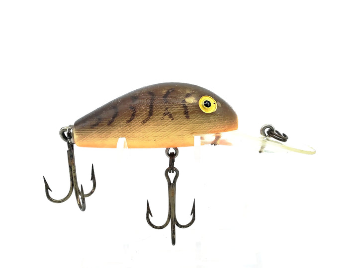 Rebel Super R, Brown Crawfish/Orange Belly Color