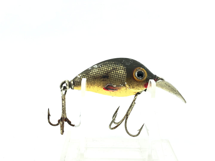 Brook's Double O, Shad Color