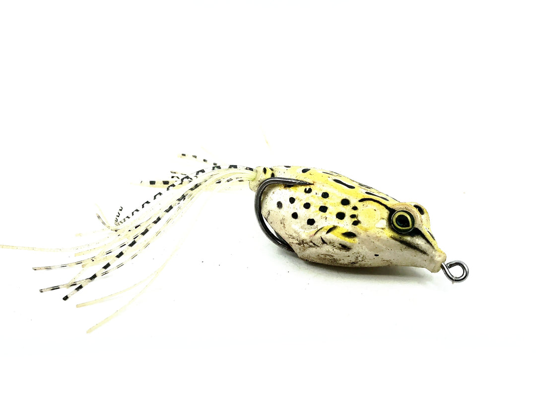 Hollow Body Soft Frog, Northern Leopard Color