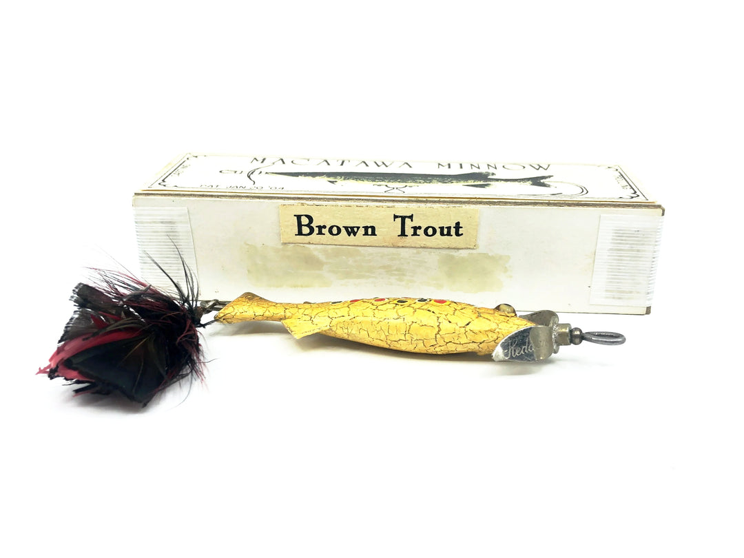 Macatawa 3" Minnow, Brown Trout Color w/Box - 1st Version Box