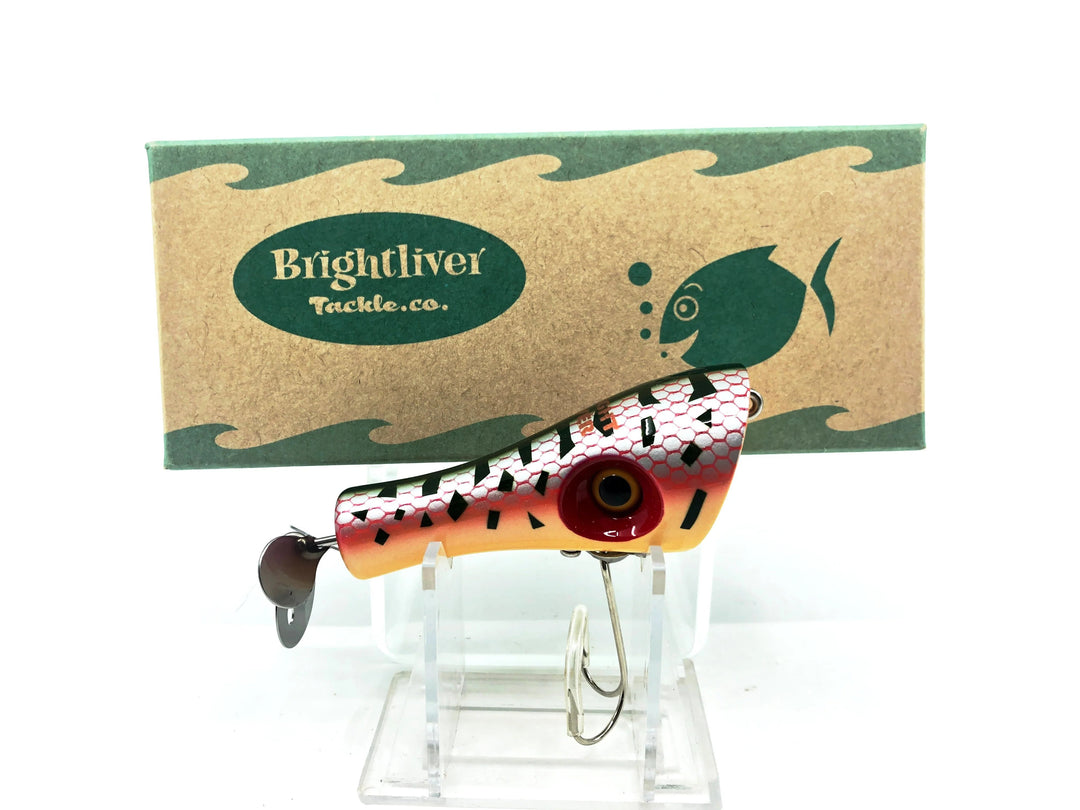 BrightLiver Popper, Red Coachdog Color with Box