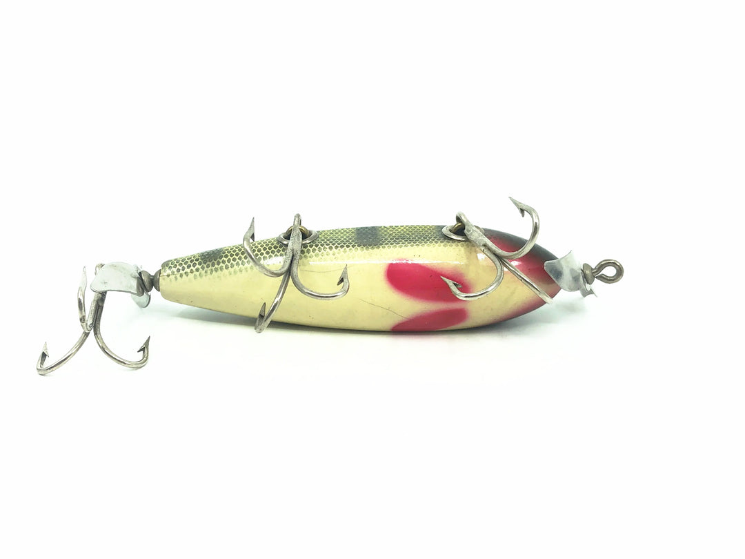 Creek Chub 1500 Injured Minnow Perch Color 1501