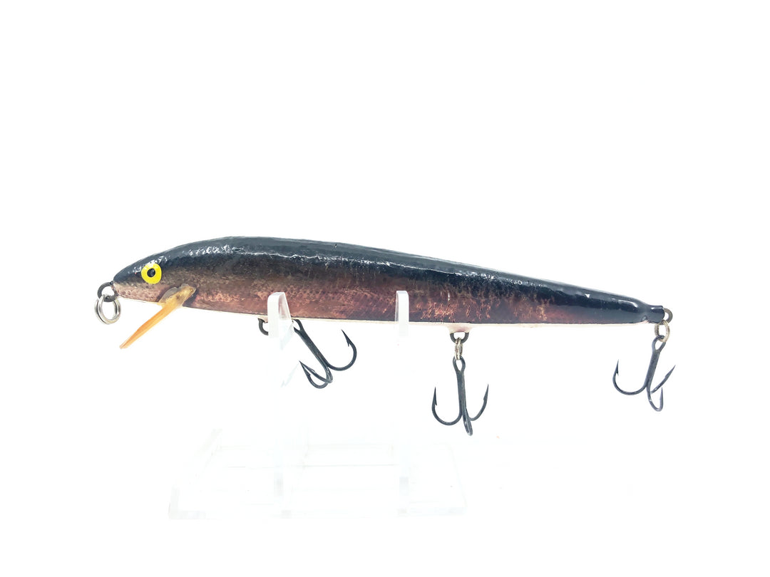A.C Shiner 550, Copper/Black Back Color