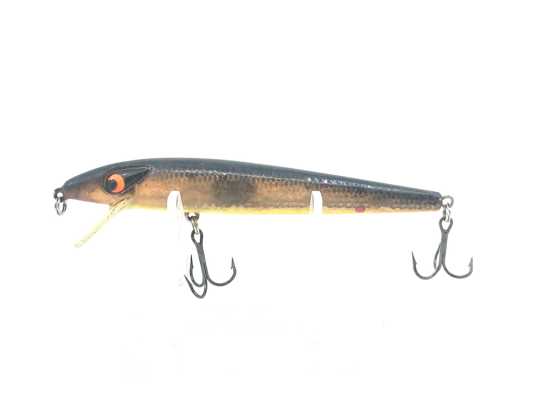 Smithwick Super Rogue, Gold Rogue Color