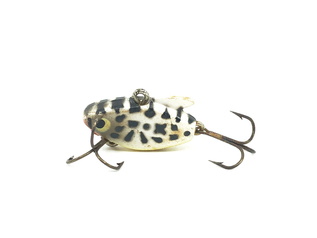Heddon Ultra Sonic 325 CD Coachdog Color