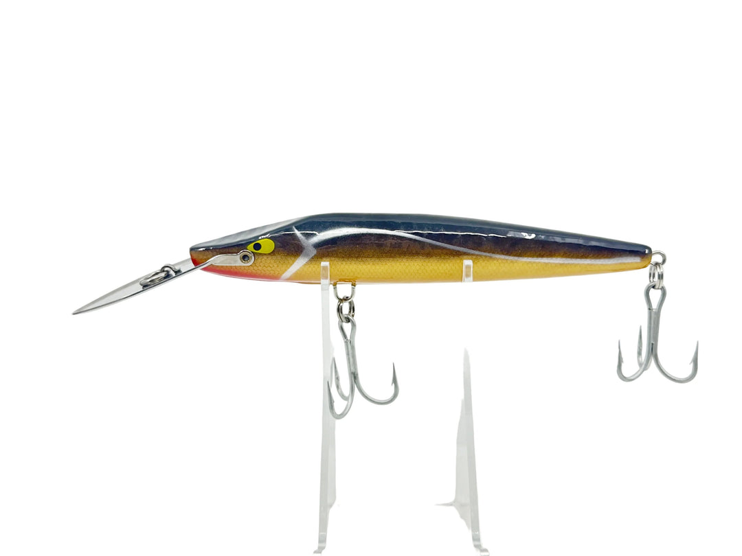 Arbogast Giant Snooker 855, Gold Scale/Silver Stripe Color