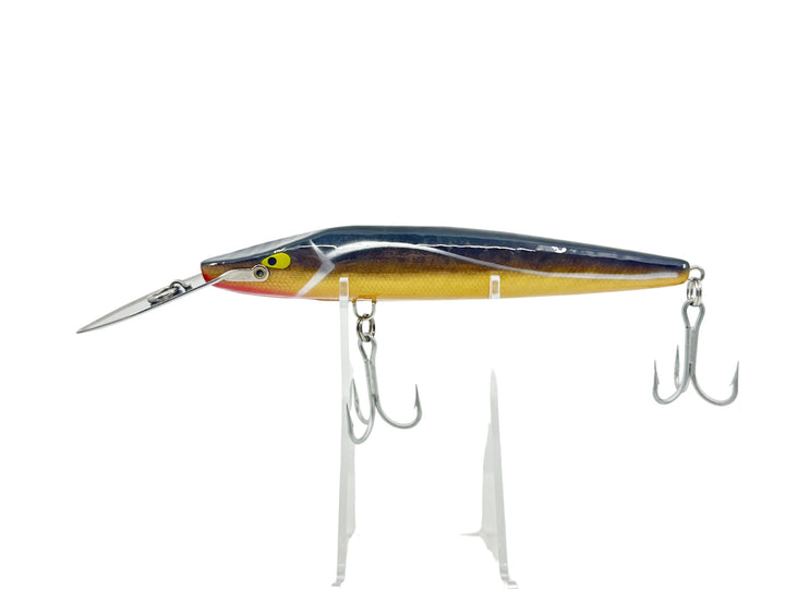 Arbogast Giant Snooker 855, Gold Scale/Silver Stripe Color