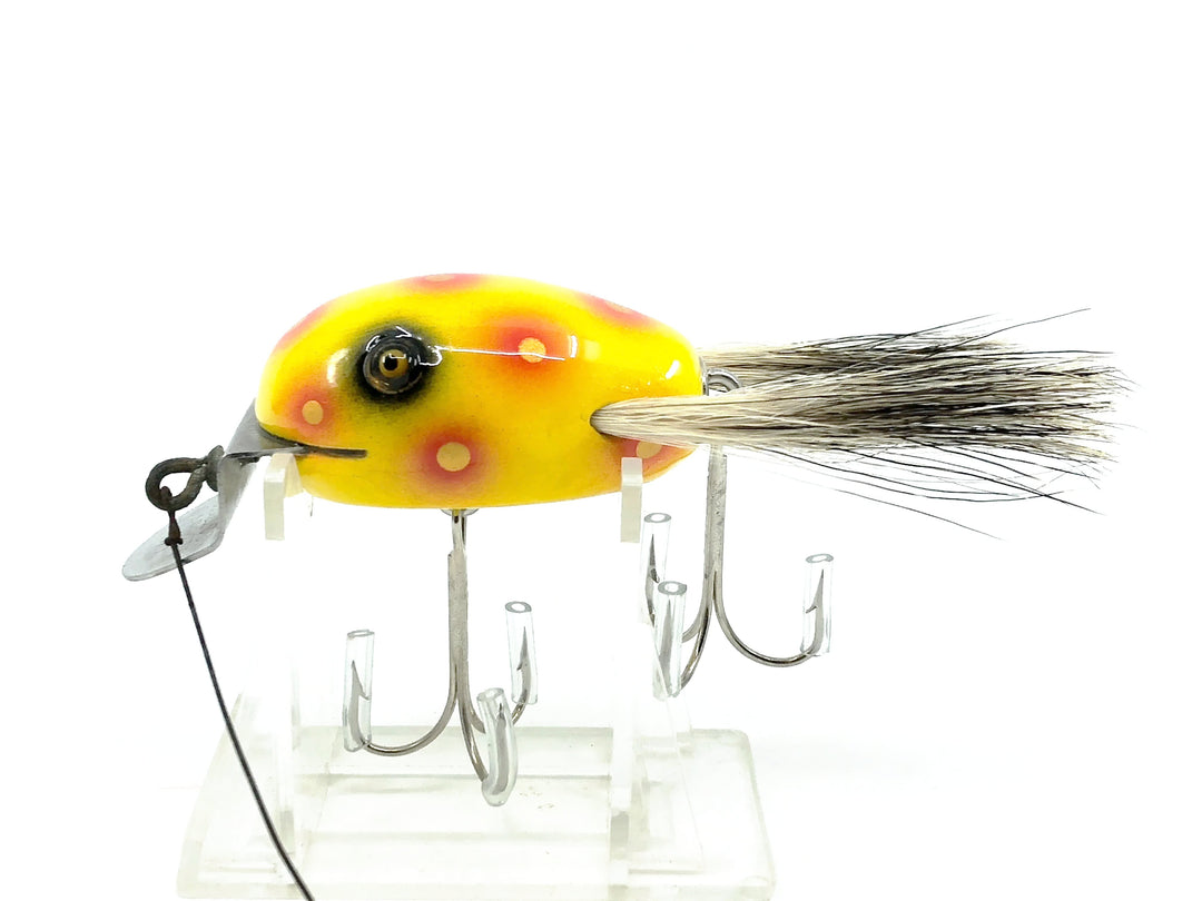Musky Dan (XXX Lures) Repainted Creek Chub Dingbat w/Badger hair, Yellow/Spots w/COA