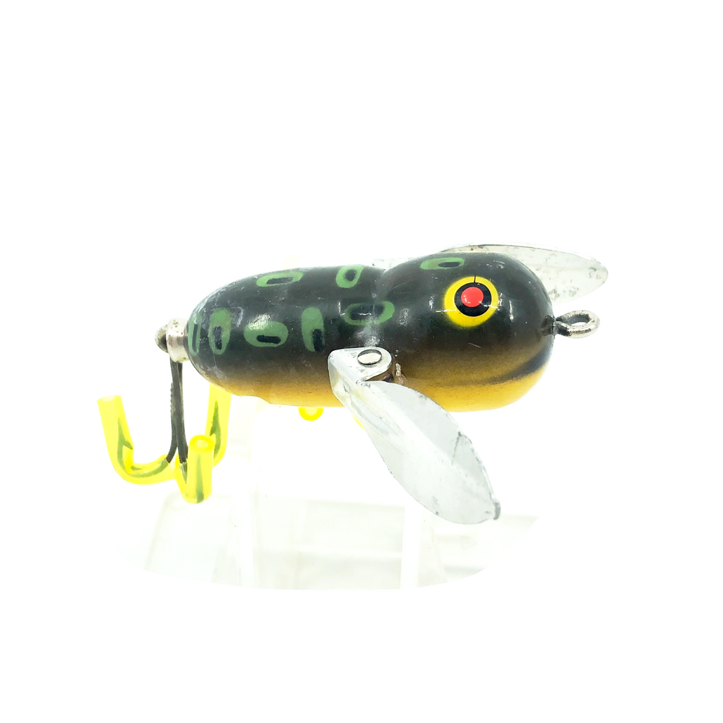Photo de stock La grenouille taureau se gonfle pour 2006946764 Photo de stock La grenouille taureau se gonfle pour 2006946764