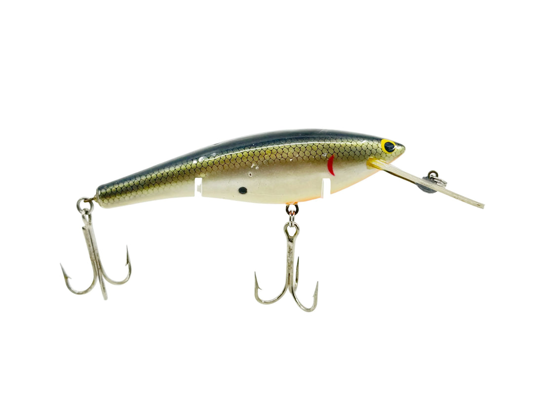 Bagley DBO6, TS Tennessee Shad Color - Winter Haven
