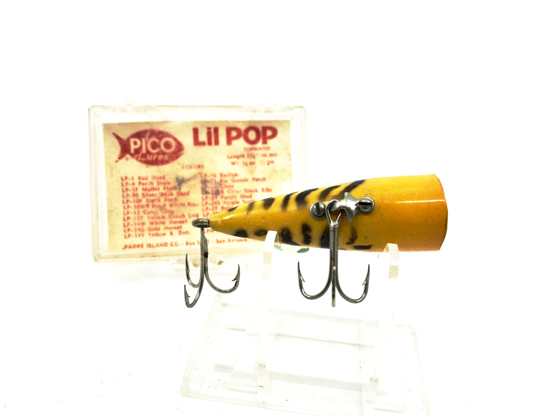 PICO Lil Pop, Yellow Coachdog Color with Box