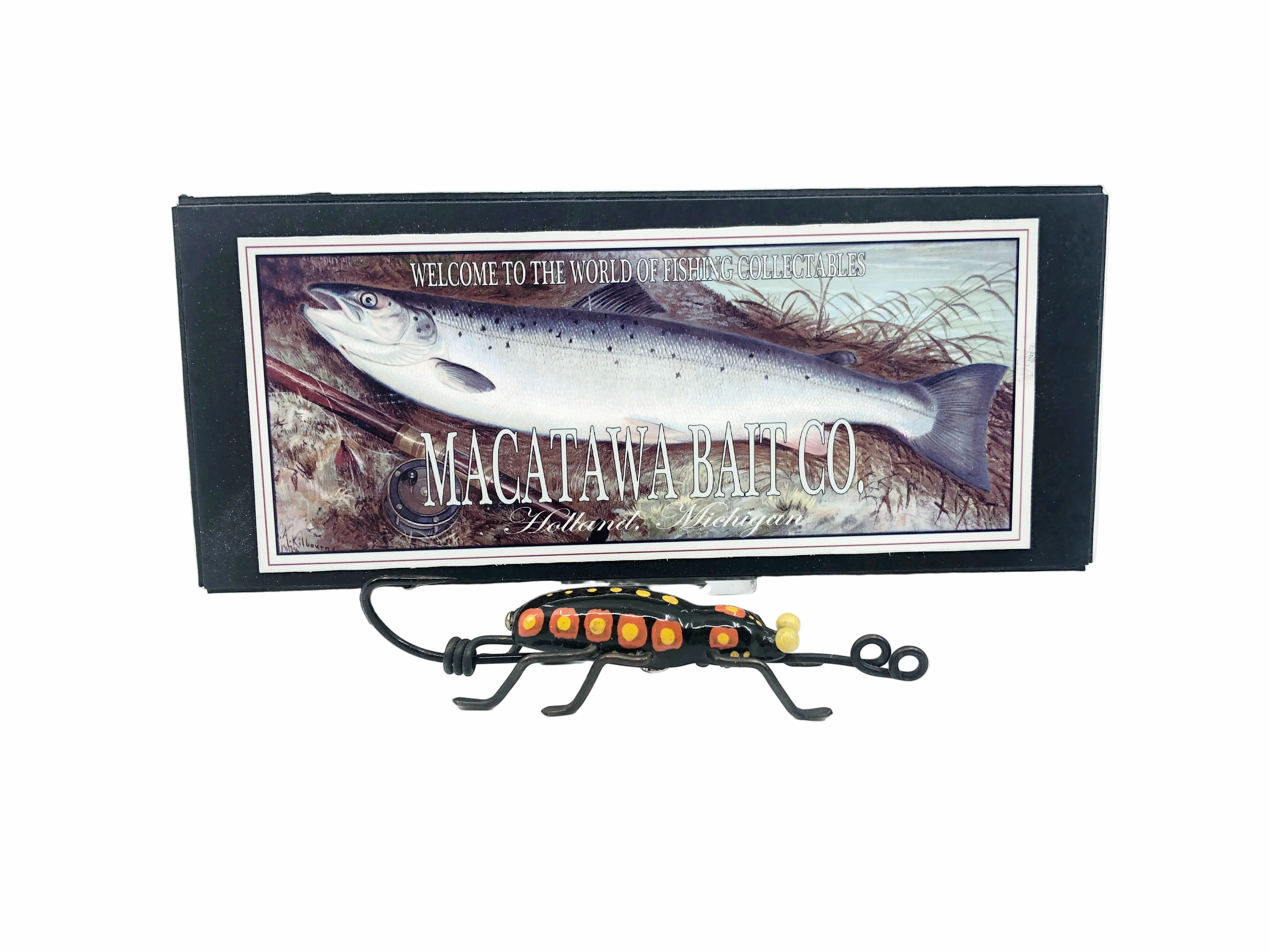 Newest Products