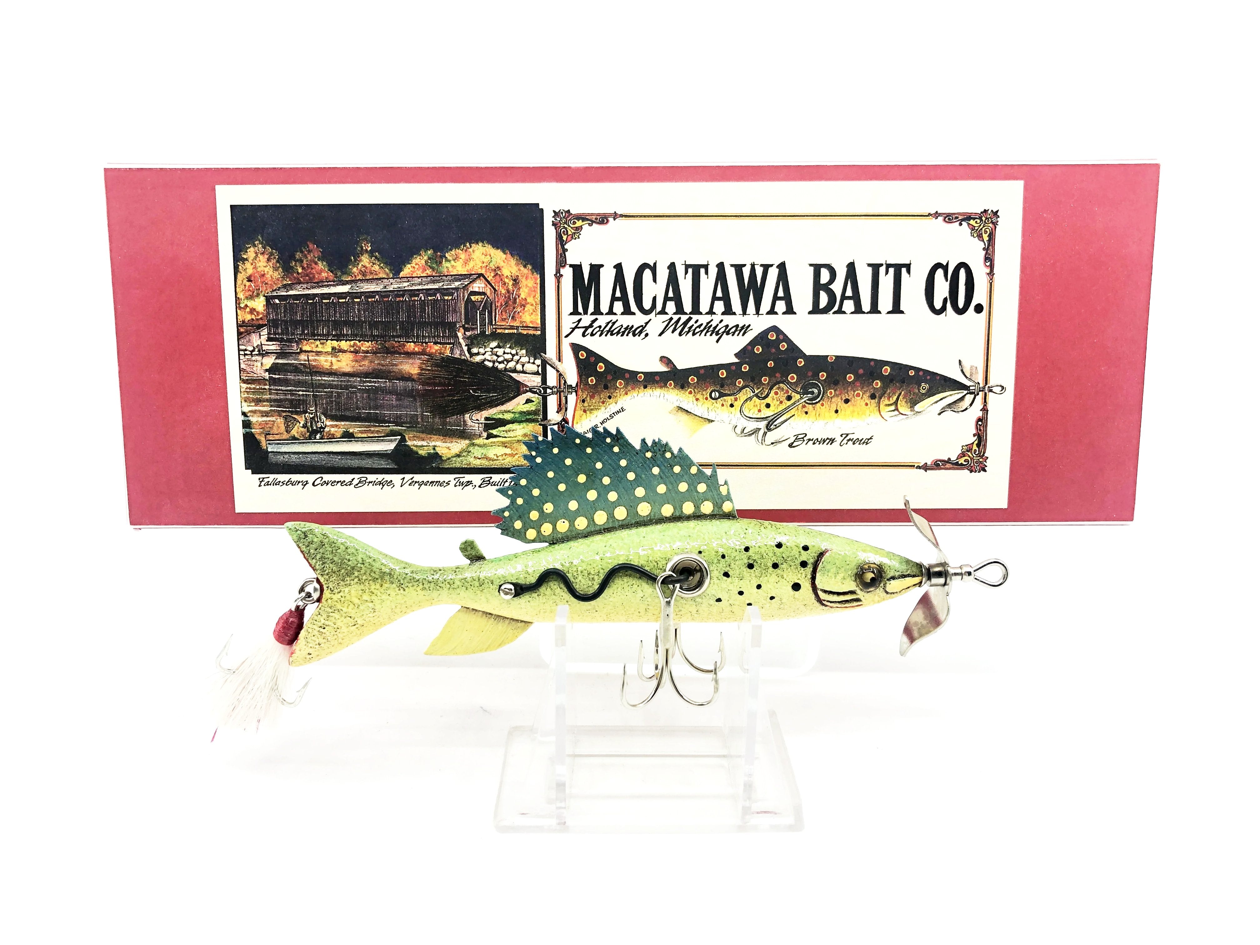 Newest Products