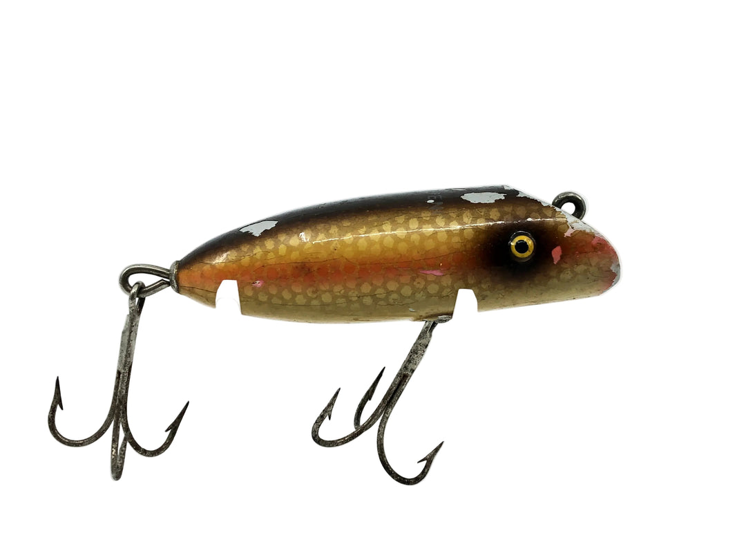 South Bend Babe-Oreno, RSF Scale Finish w/ Red Blend Color